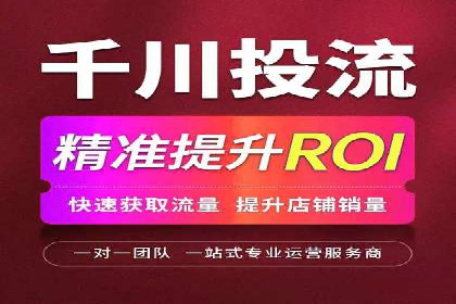 成功案例：网络推广与竞价广告的完美结合